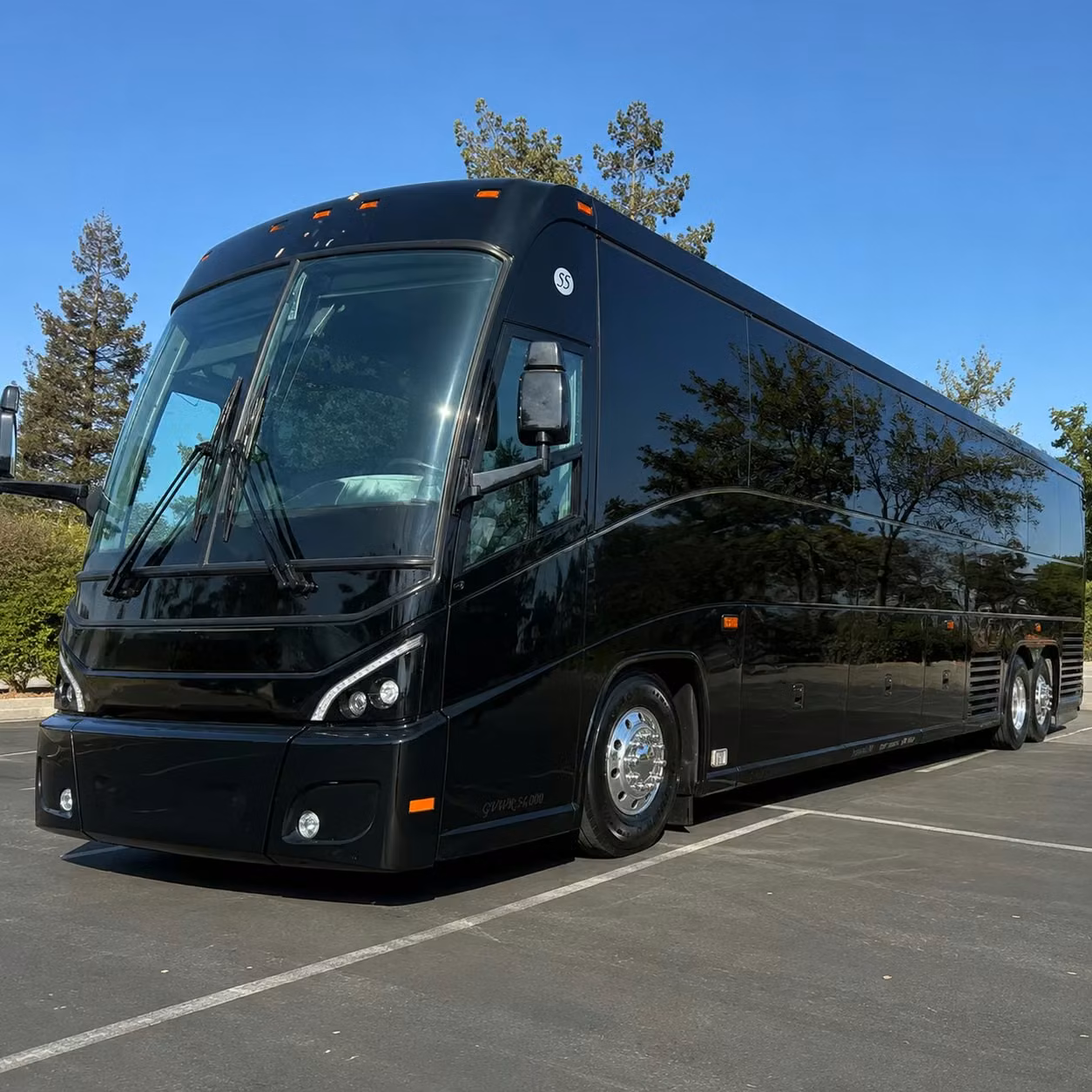 kissimmee wedding groups and family reunions travel better by charter bus